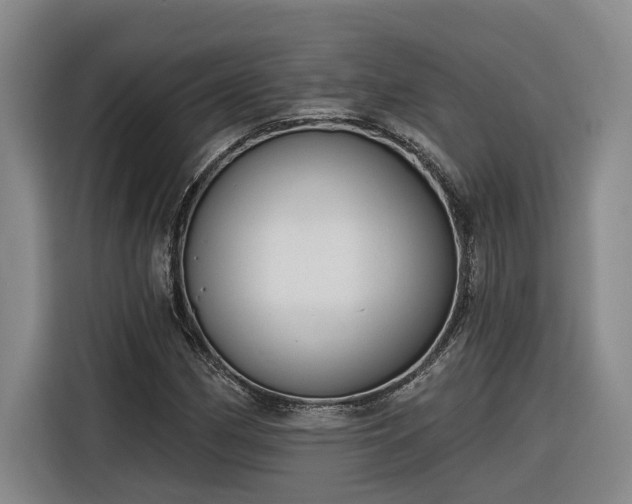 X0000116301162200912071242