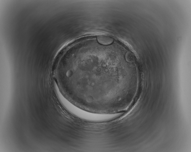 X0000116301163200912071242