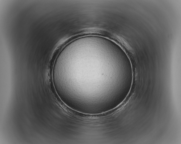 X0000116301164200912071242