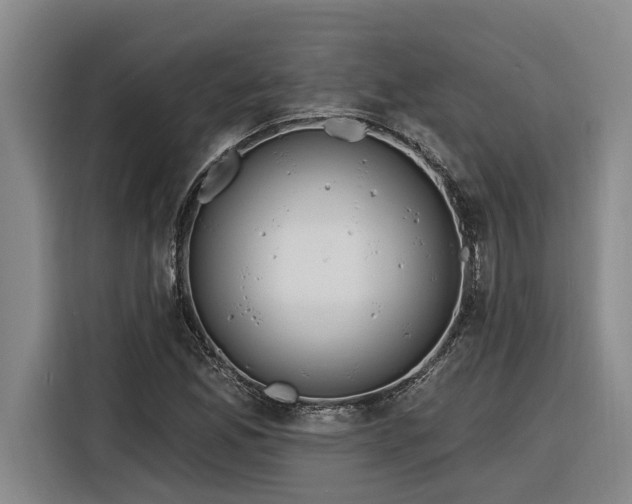 X0000116301165200912071242