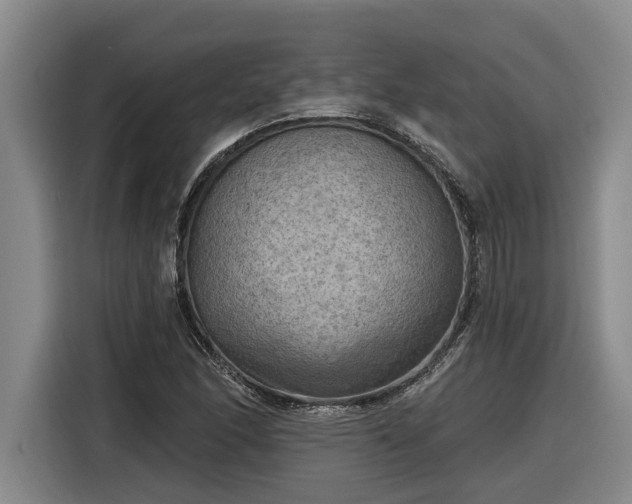 X0000116301166200912071242