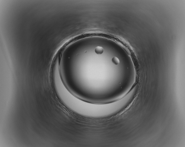 X0000116301167200912071242