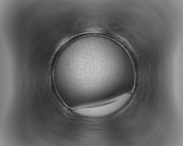 X0000116301168200912071242