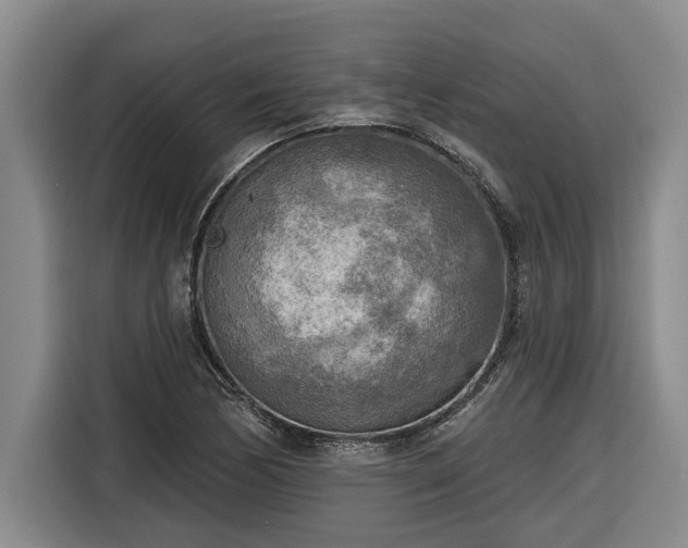 X0000116301170200912071242