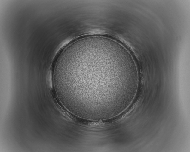 X0000116301171200912071242