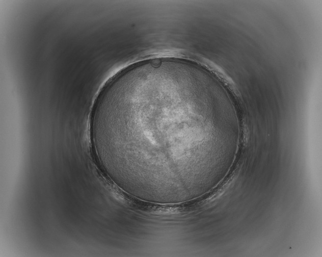 X0000116301174200912071242