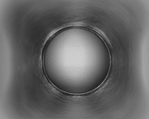 X0000116301176200912071242