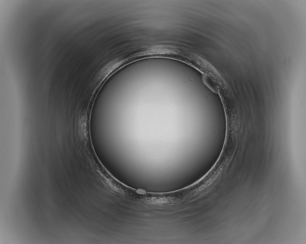 X0000116301177200912071242