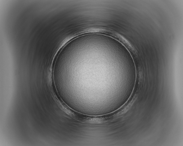 X0000116301178200912071242