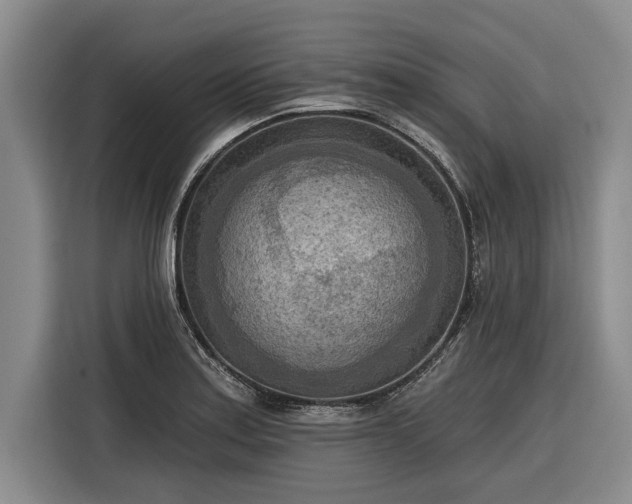 X0000116301179200912071242