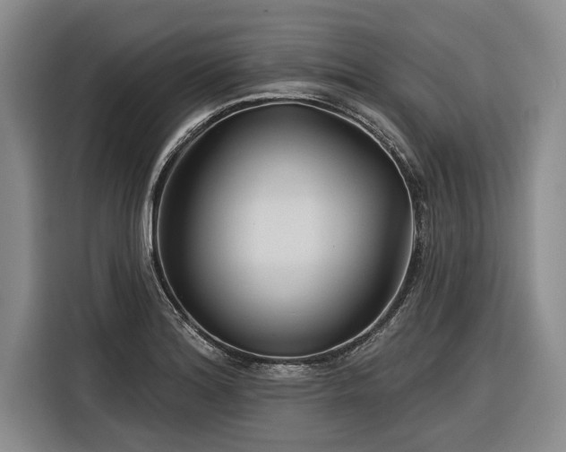 X0000116301180200912071242