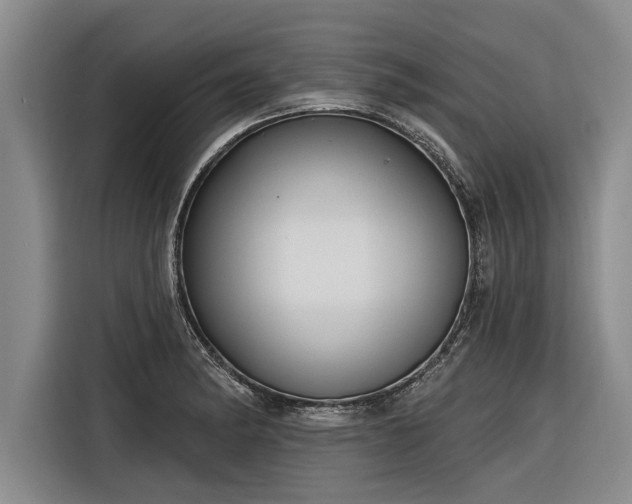 X0000116301182200912071242