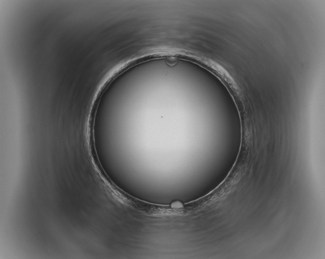 X0000116301183200912071242