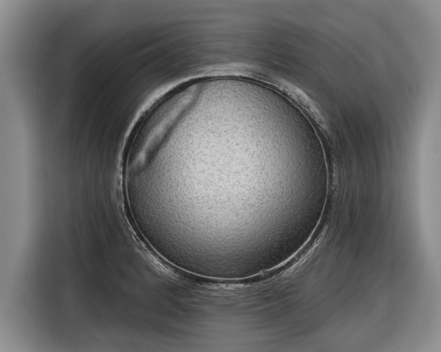 X0000116301184200912071242