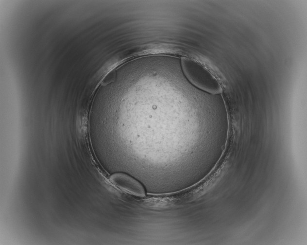 X0000116301185200912071242