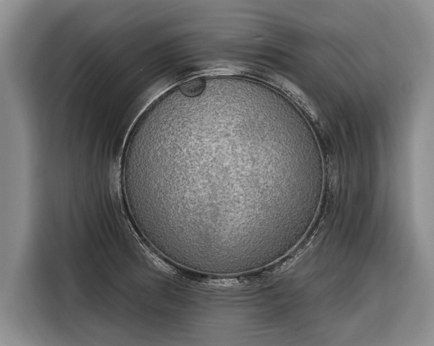 X0000116301186200912071242