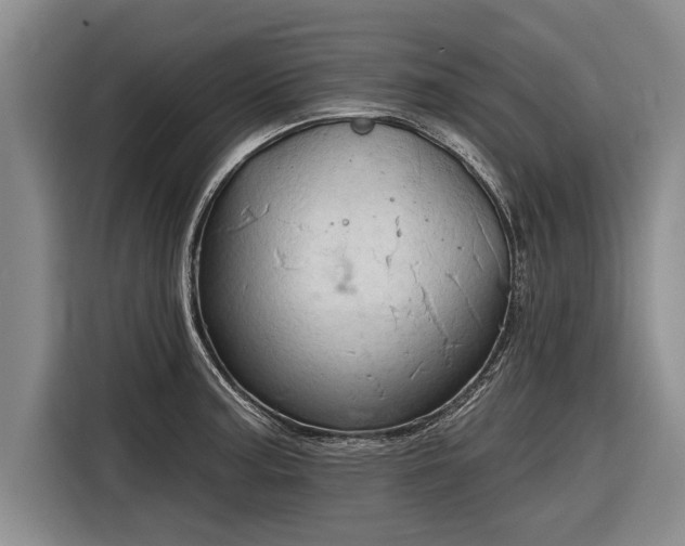 X0000116301187200912071242