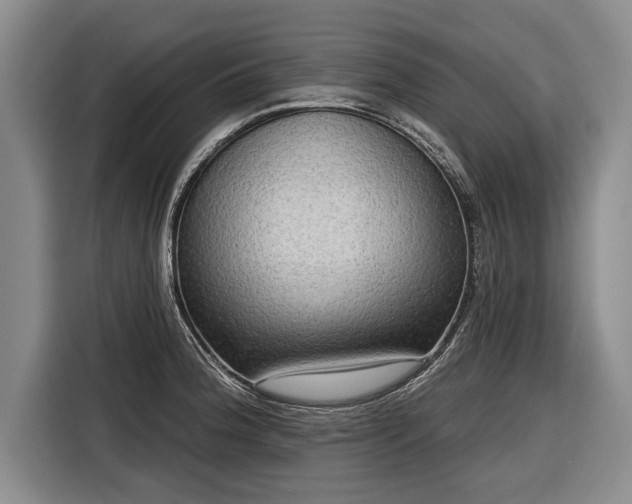 X0000116301188200912071242