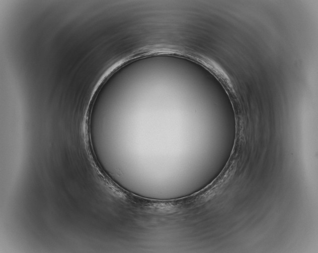 X0000116301190200912071242