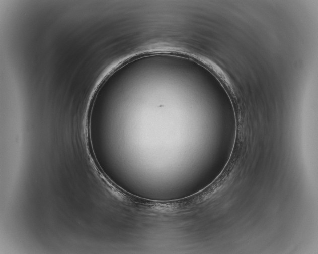 X0000116301191200912071242