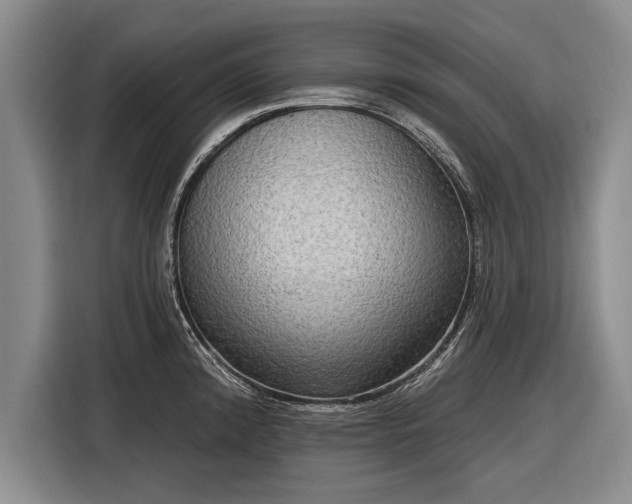 X0000116301192200912071242