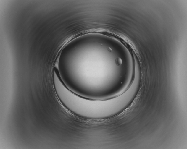 X0000116301193200912071242