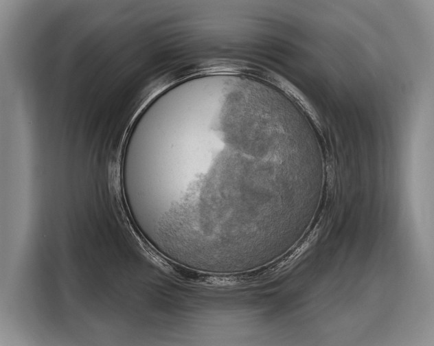 X0000116301194200912071242