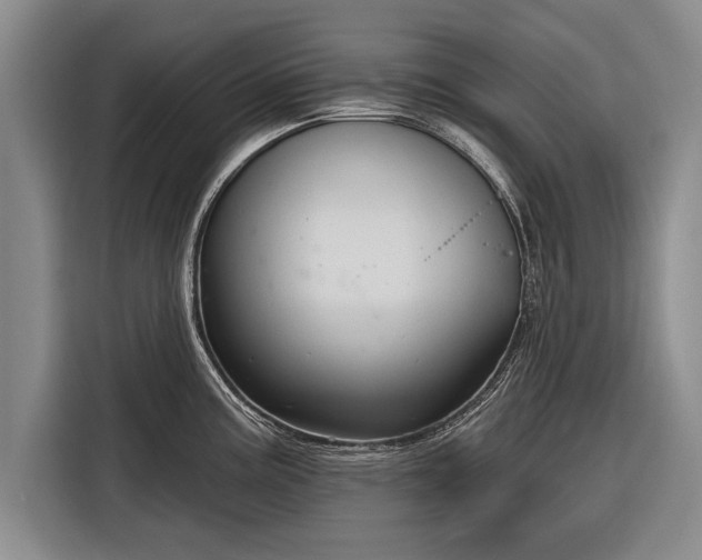 X0000116301195200912071242