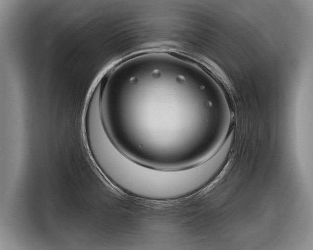 X0000116301196200912071242