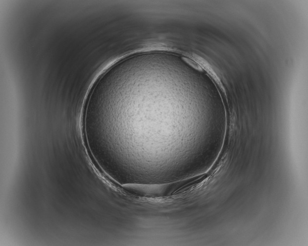 X0000116301197200912071242