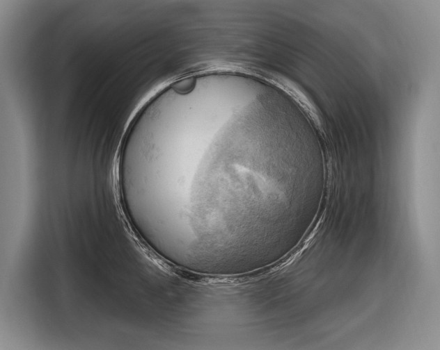 X0000116301198200912071242