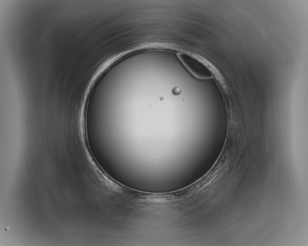 X0000116301199200912071242