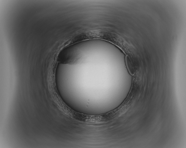 X0000116301201200912071241