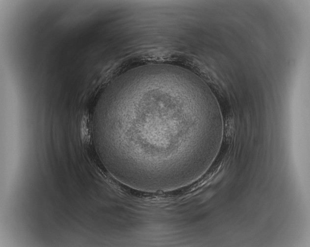 X0000116301202200912071241