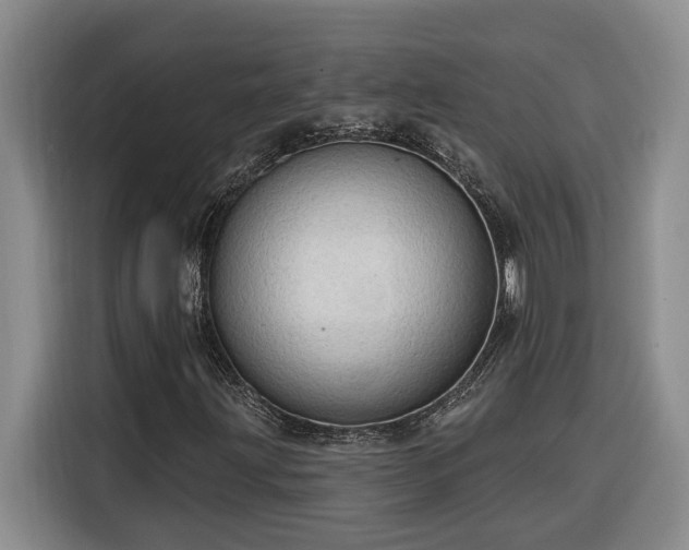 X0000116301203200912071241