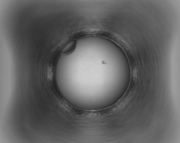 X0000116301204200912071241