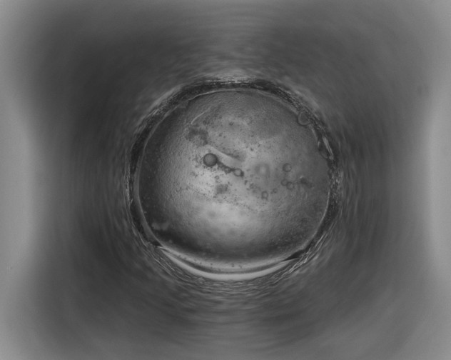 X0000116301205200912071241