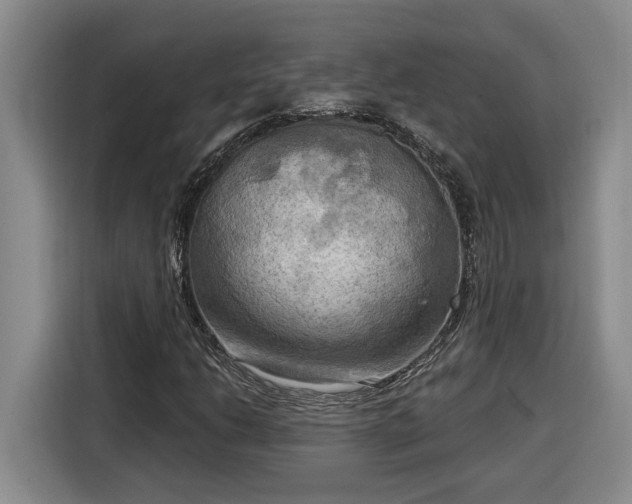 X0000116301206200912071241