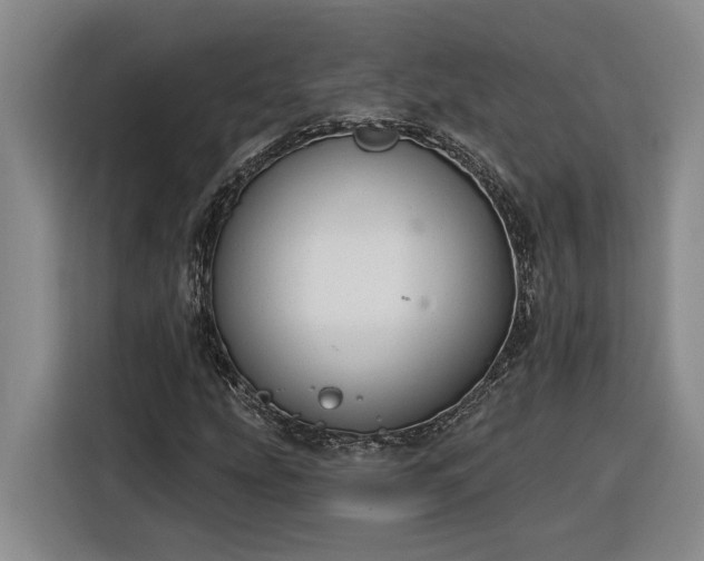 X0000116301207200912071241