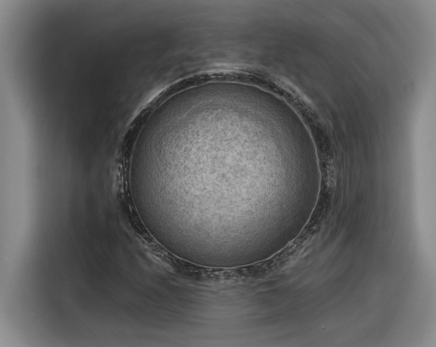 X0000116301208200912071241