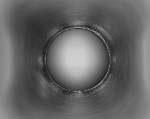 X0000116301209200912071241