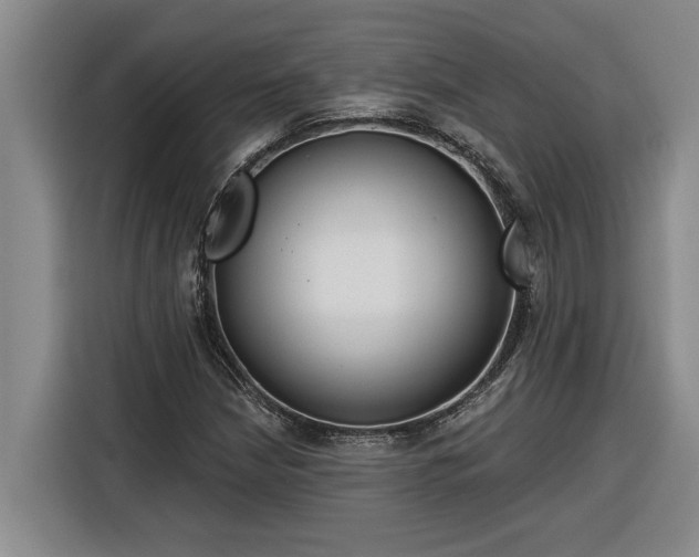 X0000116301210200912071241