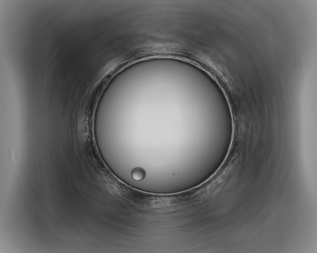 X0000116301211200912071241