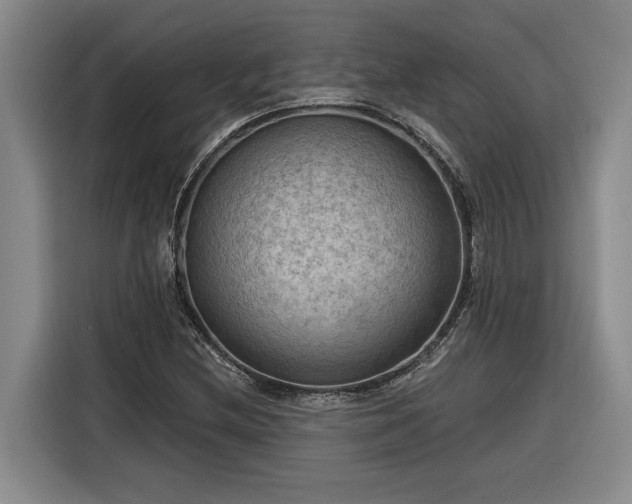 X0000116301212200912071242