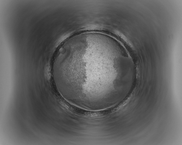 X0000116301213200912071242