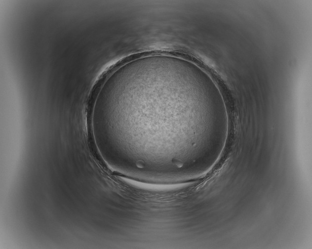 X0000116301214200912071242