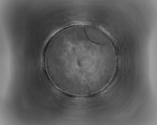 X0000116301215200912071242