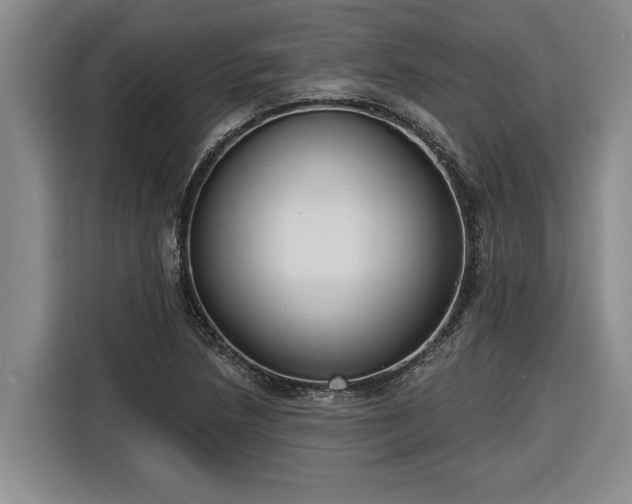 X0000116301218200912071242