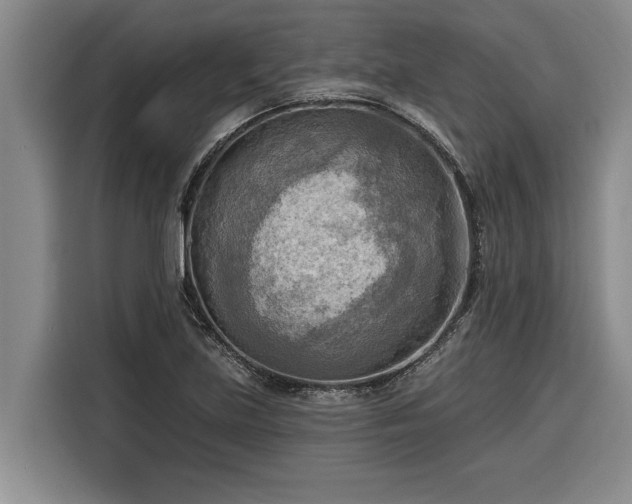 X0000116301219200912071242