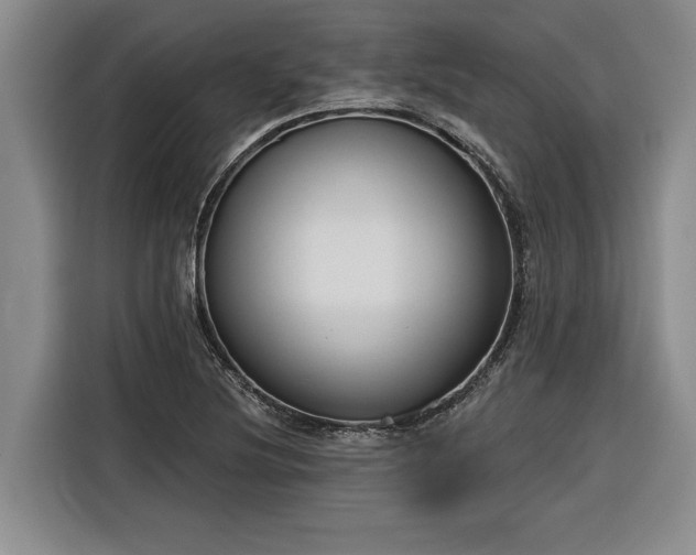 X0000116301220200912071242